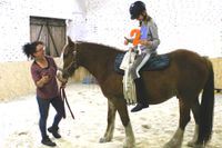 Schulische Lernförderung | Pony Reiten in Wagenfeld